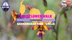 Sandringham Park wildflower walk